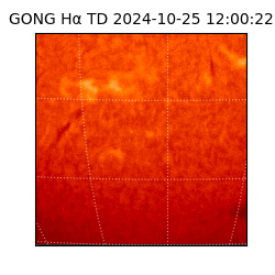 gong - 2024-10-25T12:00:22