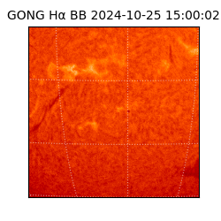 gong - 2024-10-25T15:00:02