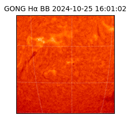 gong - 2024-10-25T16:01:02