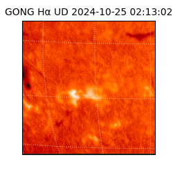gong - 2024-10-25T02:13:02