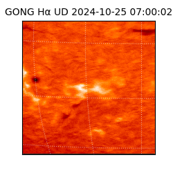 gong - 2024-10-25T07:00:02