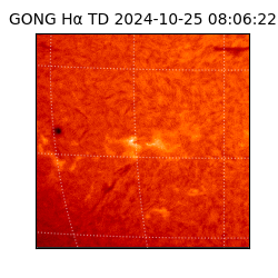 gong - 2024-10-25T08:06:22