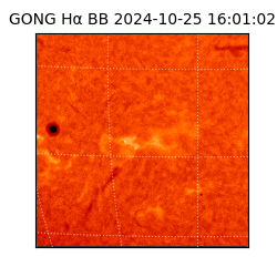 gong - 2024-10-25T16:01:02