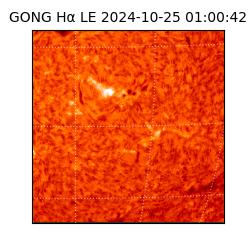 gong - 2024-10-25T01:00:42