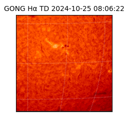 gong - 2024-10-25T08:06:22