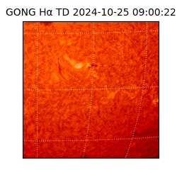 gong - 2024-10-25T09:00:22