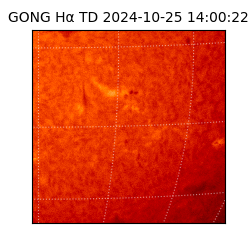 gong - 2024-10-25T14:00:22