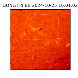 gong - 2024-10-25T16:01:02