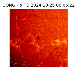 gong - 2024-10-25T08:06:22