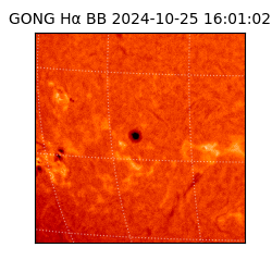 gong - 2024-10-25T16:01:02