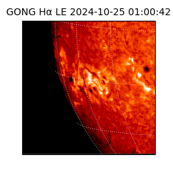 gong - 2024-10-25T01:00:42