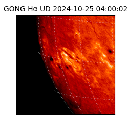 gong - 2024-10-25T04:00:02