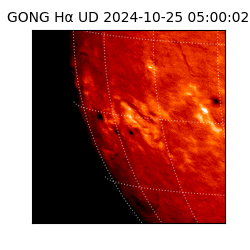 gong - 2024-10-25T05:00:02