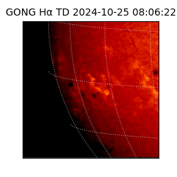 gong - 2024-10-25T08:06:22