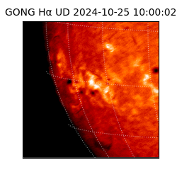 gong - 2024-10-25T10:00:02