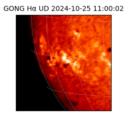 gong - 2024-10-25T11:00:02