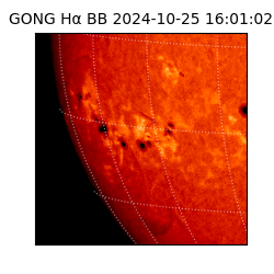 gong - 2024-10-25T16:01:02