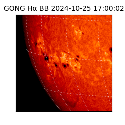 gong - 2024-10-25T17:00:02