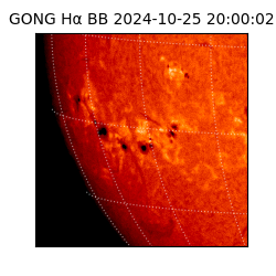 gong - 2024-10-25T20:00:02