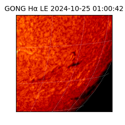 gong - 2024-10-25T01:00:42