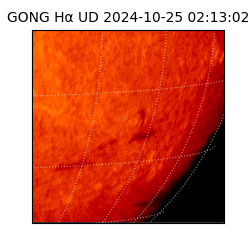 gong - 2024-10-25T02:13:02