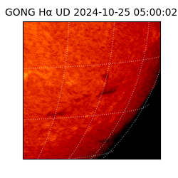 gong - 2024-10-25T05:00:02