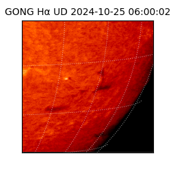 gong - 2024-10-25T06:00:02