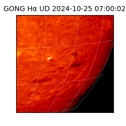 gong - 2024-10-25T07:00:02