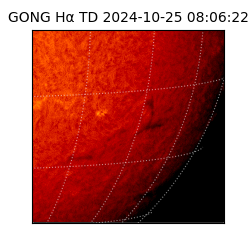 gong - 2024-10-25T08:06:22