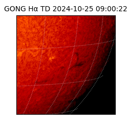 gong - 2024-10-25T09:00:22