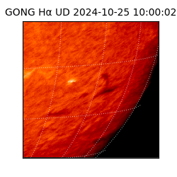 gong - 2024-10-25T10:00:02