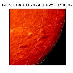 gong - 2024-10-25T11:00:02