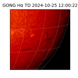 gong - 2024-10-25T12:00:22