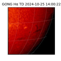 gong - 2024-10-25T14:00:22