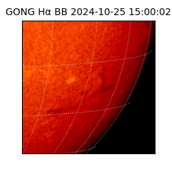 gong - 2024-10-25T15:00:02