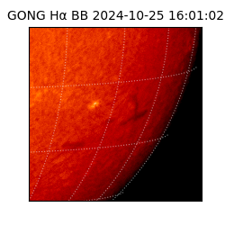 gong - 2024-10-25T16:01:02