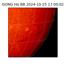 gong - 2024-10-25T17:00:02