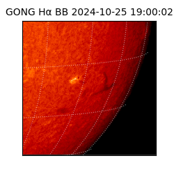 gong - 2024-10-25T19:00:02