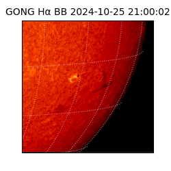 gong - 2024-10-25T21:00:02