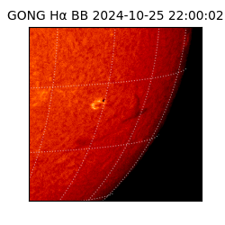 gong - 2024-10-25T22:00:02