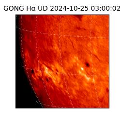 gong - 2024-10-25T03:00:02