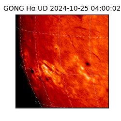 gong - 2024-10-25T04:00:02