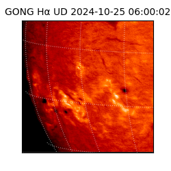 gong - 2024-10-25T06:00:02