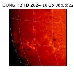 gong - 2024-10-25T08:06:22