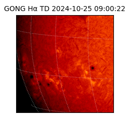 gong - 2024-10-25T09:00:22