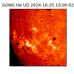 gong - 2024-10-25T10:00:02