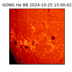 gong - 2024-10-25T15:00:02