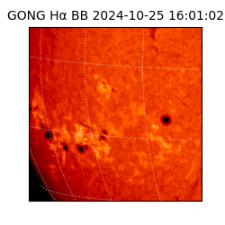 gong - 2024-10-25T16:01:02