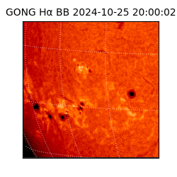 gong - 2024-10-25T20:00:02