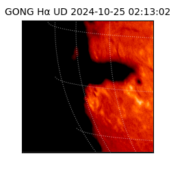 gong - 2024-10-25T02:13:02